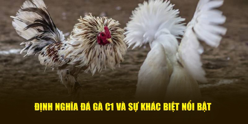 su-khac-biet-tao-nen-chien-thang-tai-da-ga-c1